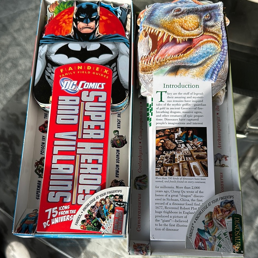 Dinosaur Field Guide Fan Deck